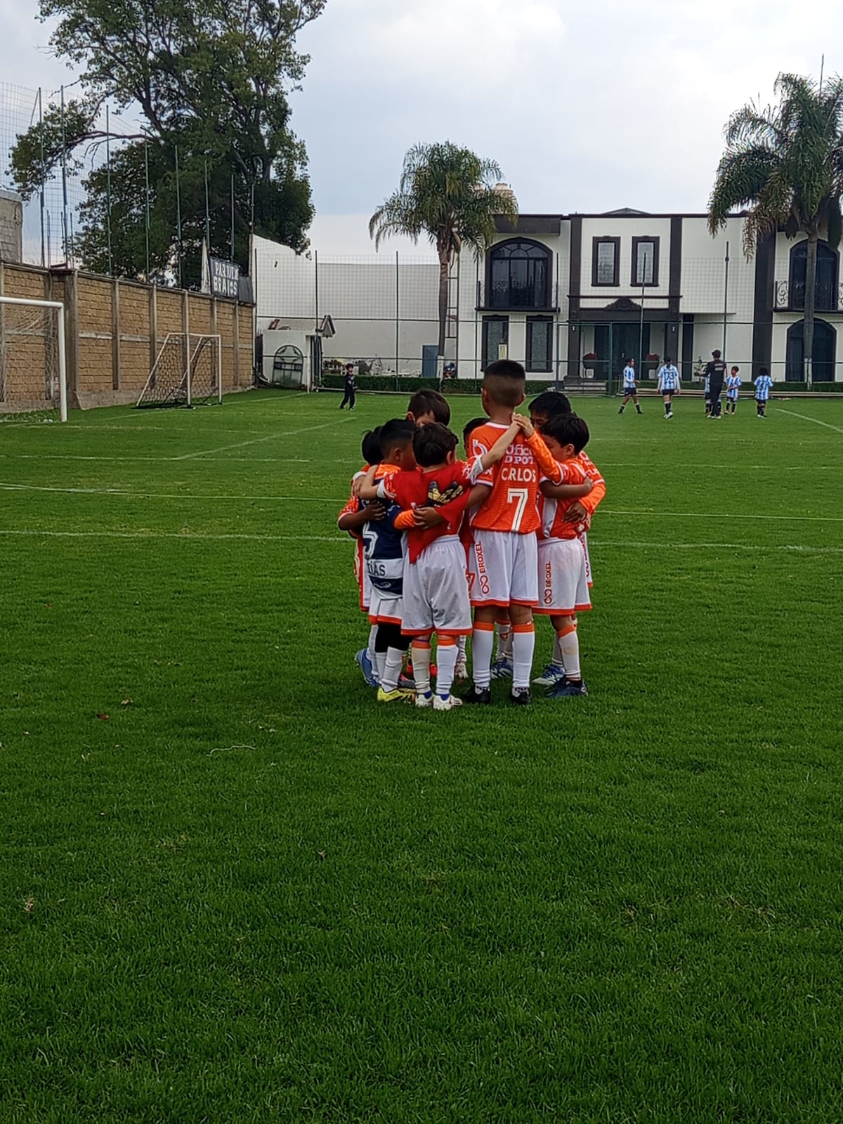 Participación en torneos federados