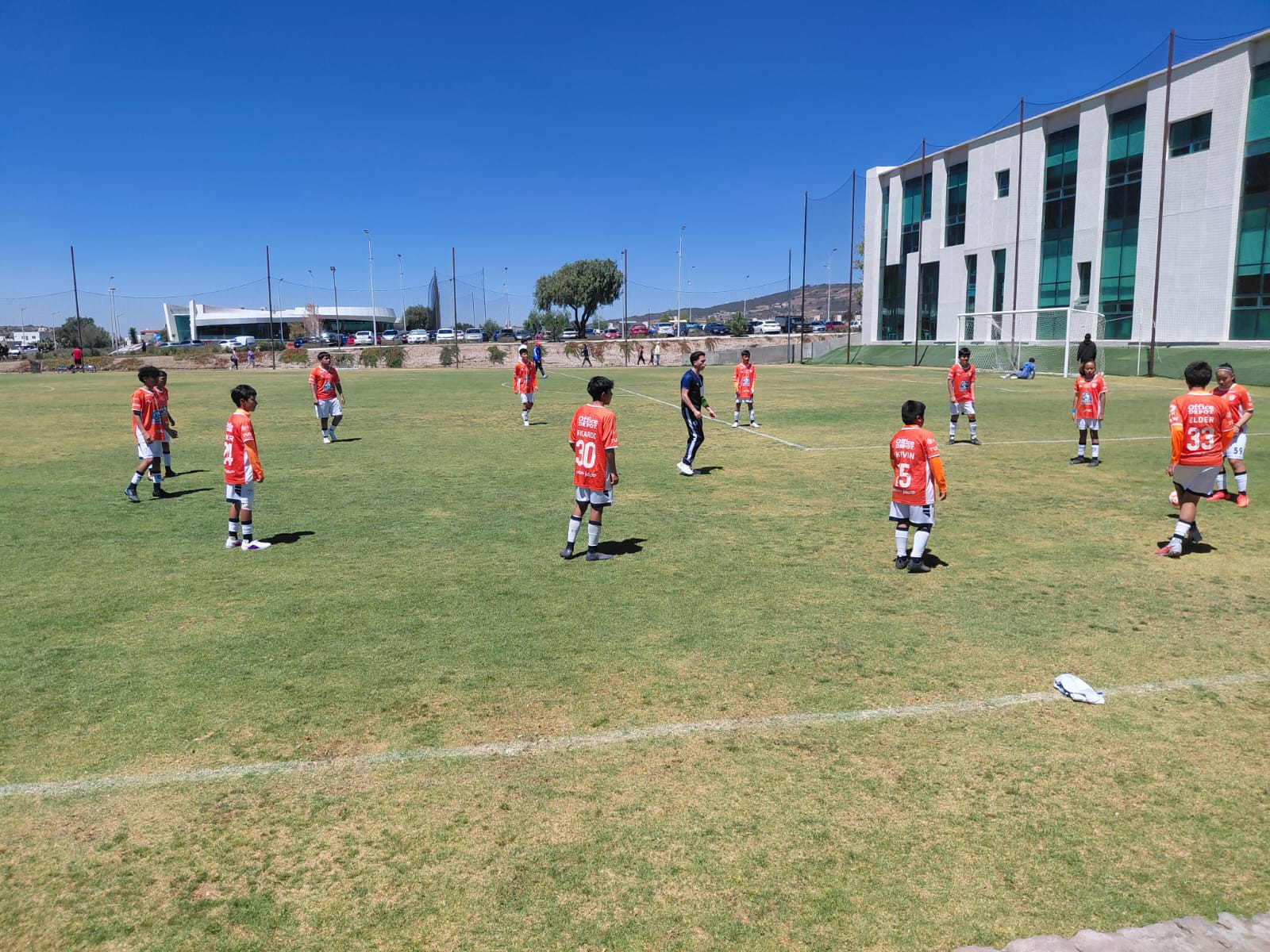 Participación en torneos internacionales